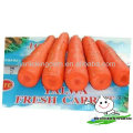 Nueva cosecha Carrot / Fresh carrot / China zanahoria de Brother kingdom